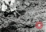 Image of Korean farmers using shovel Korea, 1936, second 47 stock footage video 65675028841