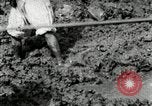 Image of Korean farmers using shovel Korea, 1936, second 49 stock footage video 65675028841