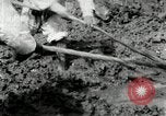 Image of Korean farmers using shovel Korea, 1936, second 51 stock footage video 65675028841