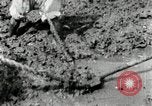 Image of Korean farmers using shovel Korea, 1936, second 52 stock footage video 65675028841