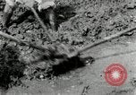 Image of Korean farmers using shovel Korea, 1936, second 53 stock footage video 65675028841