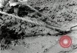 Image of Korean farmers using shovel Korea, 1936, second 56 stock footage video 65675028841