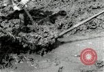 Image of Korean farmers using shovel Korea, 1936, second 57 stock footage video 65675028841