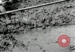 Image of Korean farmers using shovel Korea, 1936, second 59 stock footage video 65675028841