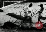 Standbild koreanischen Bauern schneiden trockenen im Reisfeld Korea, 1936, aus Sekunde 8 historischem Filmmaterial Videoclip 65675028842