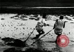 Standbild koreanischen Bauern schneiden trockenen im Reisfeld Korea, 1936, aus Sekunde 16 historischem Filmmaterial Videoclip 65675028842