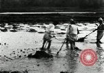 Standbild koreanischen Bauern schneiden trockenen im Reisfeld Korea, 1936, aus Sekunde 23 historischem Filmmaterial Videoclip 65675028842