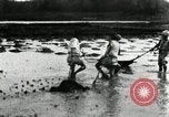 Standbild koreanischen Bauern schneiden trockenen im Reisfeld Korea, 1936, aus Sekunde 24 historischem Filmmaterial Videoclip 65675028842