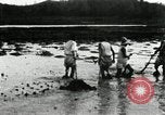 Standbild koreanischen Bauern schneiden trockenen im Reisfeld Korea, 1936, aus Sekunde 25 historischem Filmmaterial Videoclip 65675028842
