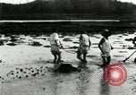 Standbild koreanischen Bauern schneiden trockenen im Reisfeld Korea, 1936, aus Sekunde 26 historischem Filmmaterial Videoclip 65675028842