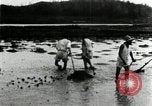 Standbild koreanischen Bauern schneiden trockenen im Reisfeld Korea, 1936, aus Sekunde 27 historischem Filmmaterial Videoclip 65675028842