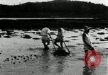 Standbild koreanischen Bauern schneiden trockenen im Reisfeld Korea, 1936, aus Sekunde 28 historischem Filmmaterial Videoclip 65675028842