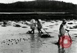 Standbild koreanischen Bauern schneiden trockenen im Reisfeld Korea, 1936, aus Sekunde 29 historischem Filmmaterial Videoclip 65675028842