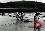 Standbild koreanischen Bauern schneiden trockenen im Reisfeld Korea, 1936, aus Sekunde 30 historischem Filmmaterial Videoclip 65675028842