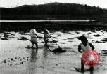 Standbild koreanischen Bauern schneiden trockenen im Reisfeld Korea, 1936, aus Sekunde 31 historischem Filmmaterial Videoclip 65675028842
