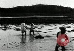 Standbild koreanischen Bauern schneiden trockenen im Reisfeld Korea, 1936, aus Sekunde 32 historischem Filmmaterial Videoclip 65675028842