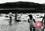 Standbild koreanischen Bauern schneiden trockenen im Reisfeld Korea, 1936, aus Sekunde 33 historischem Filmmaterial Videoclip 65675028842
