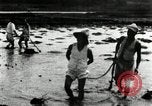 Standbild koreanischen Bauern schneiden trockenen im Reisfeld Korea, 1936, aus Sekunde 34 historischem Filmmaterial Videoclip 65675028842