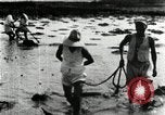 Standbild koreanischen Bauern schneiden trockenen im Reisfeld Korea, 1936, aus Sekunde 35 historischem Filmmaterial Videoclip 65675028842