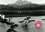 Standbild koreanischen Bauern schneiden trockenen im Reisfeld Korea, 1936, aus Sekunde 39 historischem Filmmaterial Videoclip 65675028842