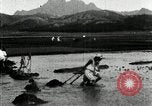 Standbild koreanischen Bauern schneiden trockenen im Reisfeld Korea, 1936, aus Sekunde 40 historischem Filmmaterial Videoclip 65675028842