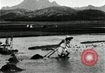 Standbild koreanischen Bauern schneiden trockenen im Reisfeld Korea, 1936, aus Sekunde 41 historischem Filmmaterial Videoclip 65675028842