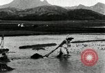 Standbild koreanischen Bauern schneiden trockenen im Reisfeld Korea, 1936, aus Sekunde 42 historischem Filmmaterial Videoclip 65675028842