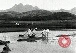 Standbild koreanischen Bauern schneiden trockenen im Reisfeld Korea, 1936, aus Sekunde 48 historischem Filmmaterial Videoclip 65675028842