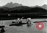 Standbild koreanischen Bauern schneiden trockenen im Reisfeld Korea, 1936, aus Sekunde 49 historischem Filmmaterial Videoclip 65675028842