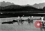 Standbild koreanischen Bauern schneiden trockenen im Reisfeld Korea, 1936, aus Sekunde 54 historischem Filmmaterial Videoclip 65675028842
