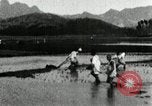 Standbild koreanischen Bauern schneiden trockenen im Reisfeld Korea, 1936, aus Sekunde 57 historischem Filmmaterial Videoclip 65675028842