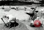 Standbild koreanischen Bauern sand Entfernen von Reis Bereich Korea, 1936, aus Sekunde 27 historischem Filmmaterial Videoclip 65675028843