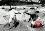 Standbild koreanischen Bauern sand Entfernen von Reis Bereich Korea, 1936, aus Sekunde 28 historischem Filmmaterial Videoclip 65675028843