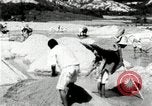 Standbild koreanischen Bauern sand Entfernen von Reis Bereich Korea, 1936, aus Sekunde 37 historischem Filmmaterial Videoclip 65675028843