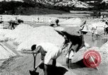Standbild koreanischen Bauern sand Entfernen von Reis Bereich Korea, 1936, aus Sekunde 39 historischem Filmmaterial Videoclip 65675028843