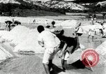 Standbild koreanischen Bauern sand Entfernen von Reis Bereich Korea, 1936, aus Sekunde 40 historischem Filmmaterial Videoclip 65675028843