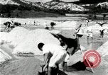 Standbild koreanischen Bauern sand Entfernen von Reis Bereich Korea, 1936, aus Sekunde 41 historischem Filmmaterial Videoclip 65675028843