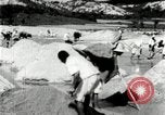 Standbild koreanischen Bauern sand Entfernen von Reis Bereich Korea, 1936, aus Sekunde 42 historischem Filmmaterial Videoclip 65675028843