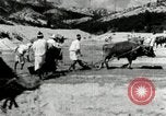 Standbild koreanischen Bauern sand Entfernen von Reis Bereich Korea, 1936, aus Sekunde 52 historischem Filmmaterial Videoclip 65675028843