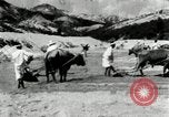 Standbild koreanischen Bauern sand Entfernen von Reis Bereich Korea, 1936, aus Sekunde 54 historischem Filmmaterial Videoclip 65675028843