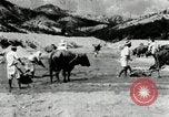 Standbild koreanischen Bauern sand Entfernen von Reis Bereich Korea, 1936, aus Sekunde 55 historischem Filmmaterial Videoclip 65675028843