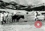 Standbild koreanischen Bauern sand Entfernen von Reis Bereich Korea, 1936, aus Sekunde 56 historischem Filmmaterial Videoclip 65675028843