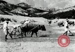 Standbild koreanischen Bauern sand Entfernen von Reis Bereich Korea, 1936, aus Sekunde 57 historischem Filmmaterial Videoclip 65675028843