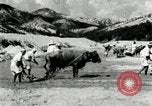 Standbild koreanischen Bauern sand Entfernen von Reis Bereich Korea, 1936, aus Sekunde 58 historischem Filmmaterial Videoclip 65675028843