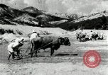 Standbild koreanischen Bauern sand Entfernen von Reis Bereich Korea, 1936, aus Sekunde 59 historischem Filmmaterial Videoclip 65675028843