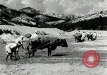 Standbild koreanischen Bauern sand Entfernen von Reis Bereich Korea, 1936, aus Sekunde 60 historischem Filmmaterial Videoclip 65675028843