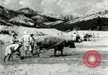 Standbild koreanischen Bauern sand Entfernen von Reis Bereich Korea, 1936, aus Sekunde 62 historischem Filmmaterial Videoclip 65675028843