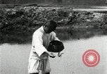 Standbild koreanischen Bauern streut Samen in Reis Bereich Korea, 1936, aus Sekunde 33 historischem Filmmaterial Videoclip 65675028844