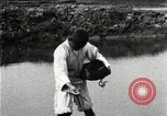 Standbild koreanischen Bauern streut Samen in Reis Bereich Korea, 1936, aus Sekunde 34 historischem Filmmaterial Videoclip 65675028844