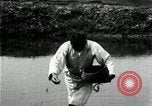 Standbild koreanischen Bauern streut Samen in Reis Bereich Korea, 1936, aus Sekunde 48 historischem Filmmaterial Videoclip 65675028844